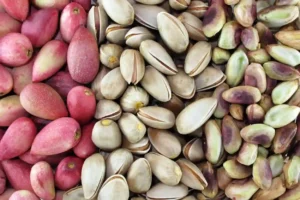 where did pistachios come from