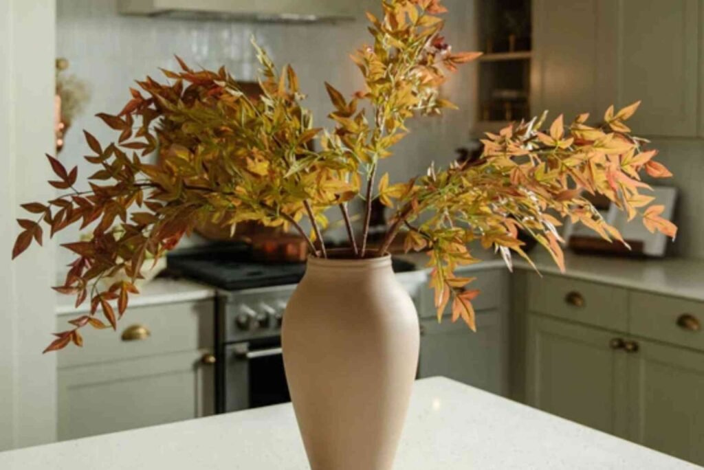 How to Nandina Home and Design: Practical Tips to Try Today