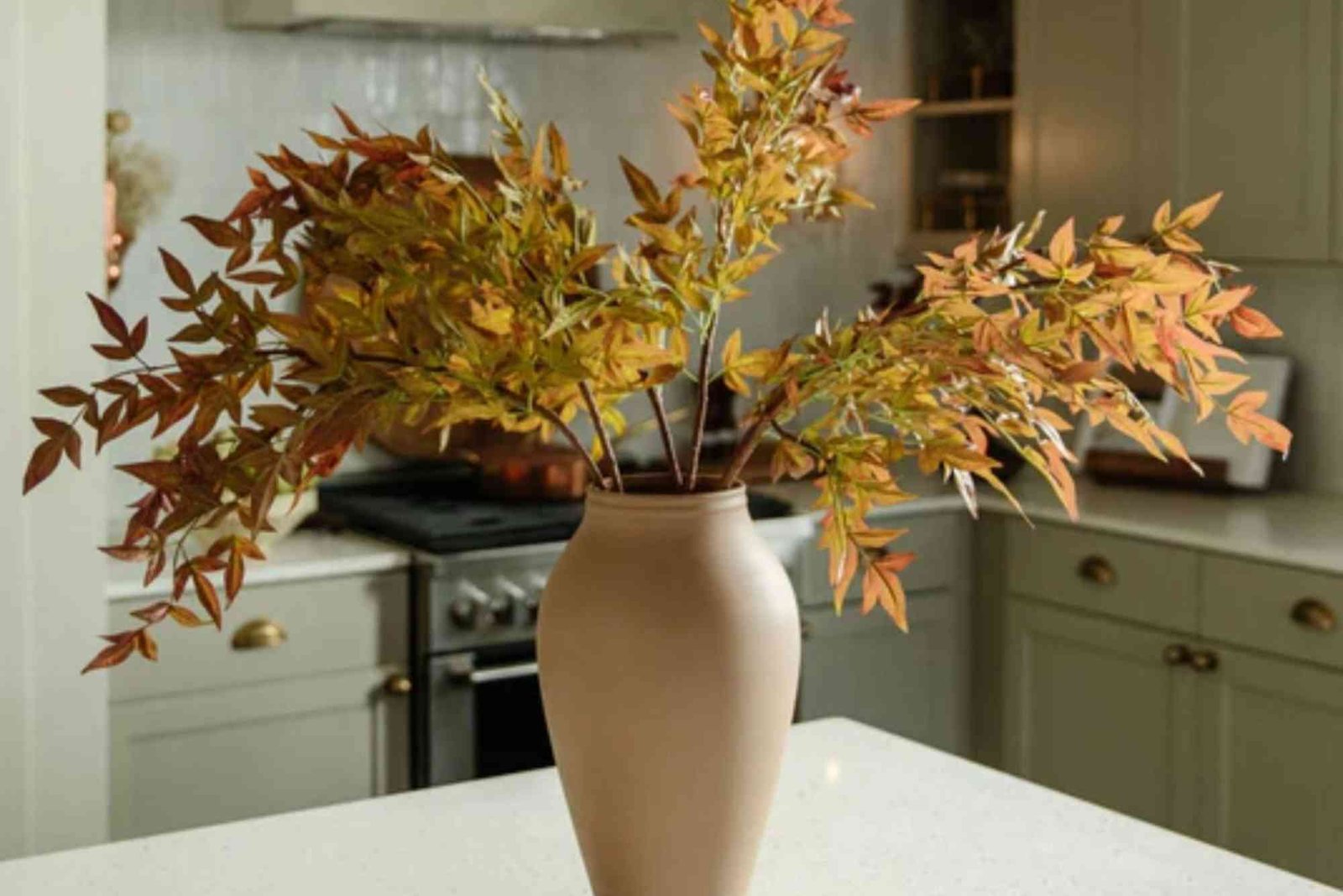 How to Nandina Home and Design: Practical Tips to Try Today
