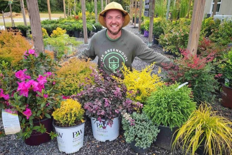 Top Mistakes to Avoid When Nandina Home And Design