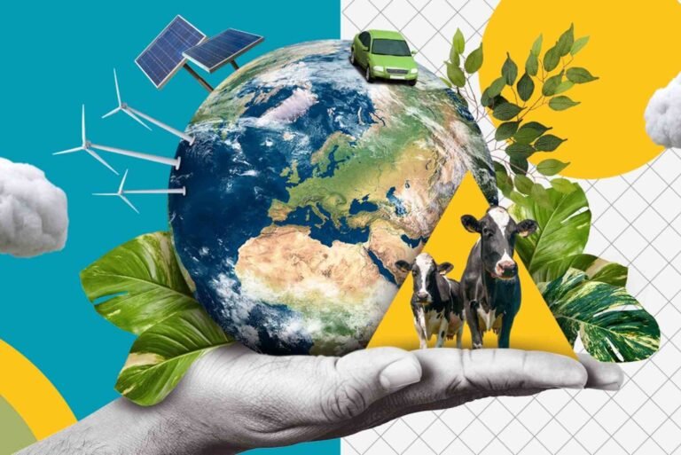 How to what Does ECO Mean for Step by Step for Best