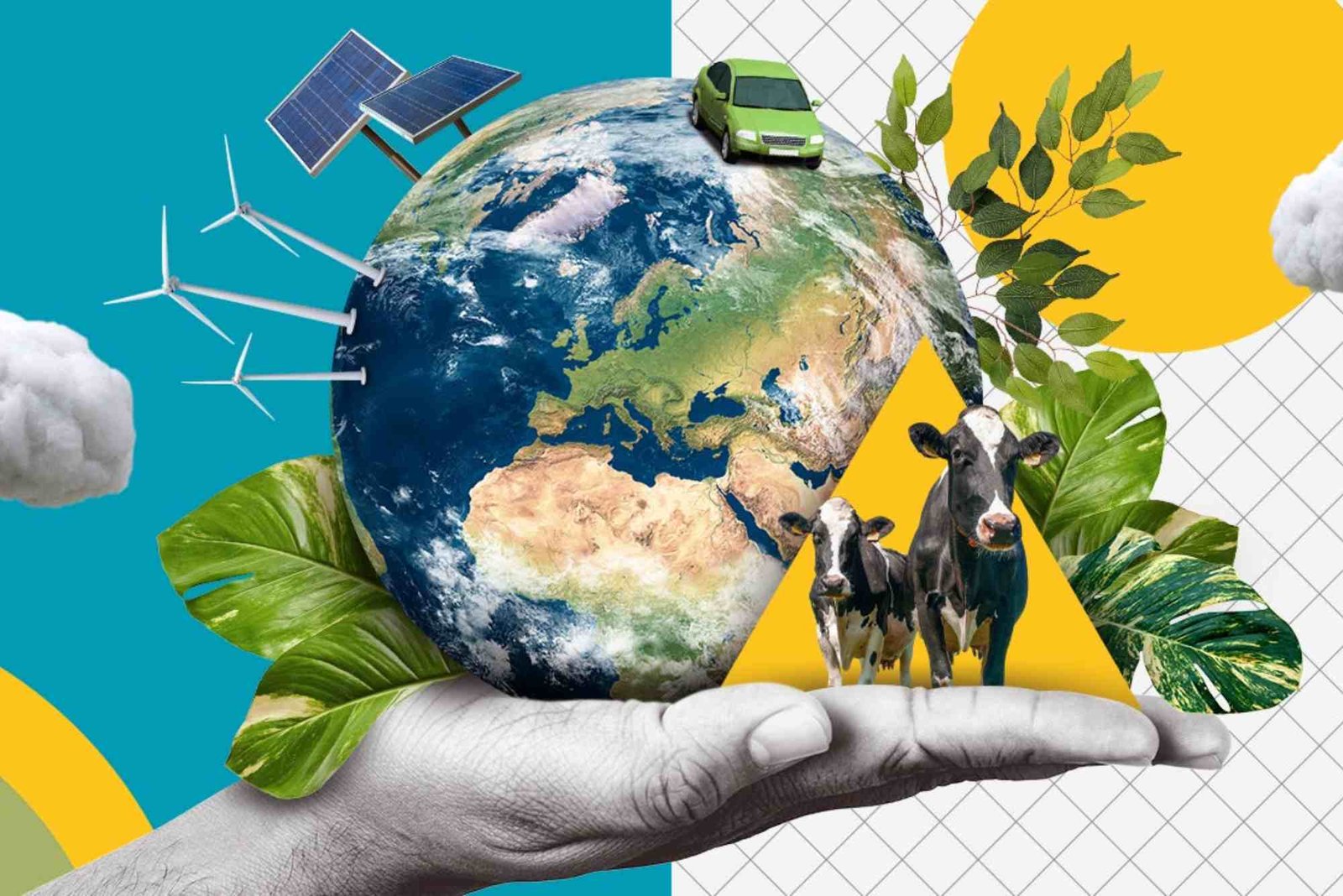 How to what Does ECO Mean for Step by Step for Best