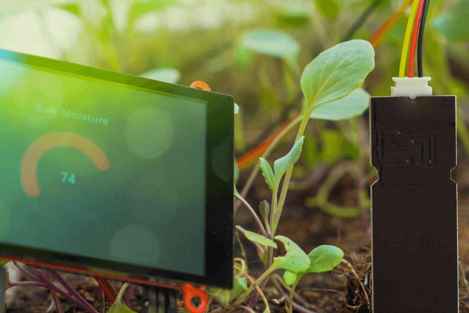 Iiot is What Typ EOF: Common Mistakes and Quick Fixes